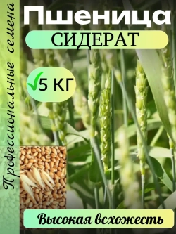 Сидерат Пшеница 5 кг