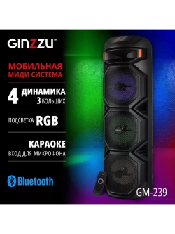 Переносная BT Аудио MIDI-система GM-239
