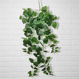 Отдельные цветы и растения