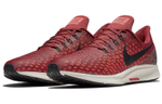 Кроссовки Nike Air Zoom Pegasus 35
