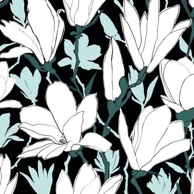 Белая Магнолия на чёрном фоне