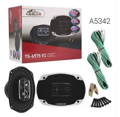 Автомобильные Динамики Carlive TS-6975V2 (6X9") Овальные A5342