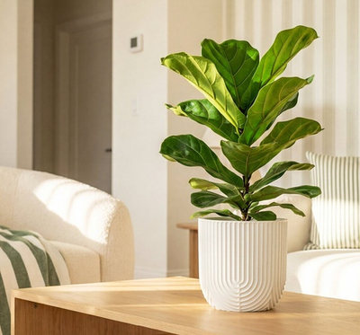 Кашпо РАМОНА D220 мм 3,7 л со вставкой 22*22*20см М3262