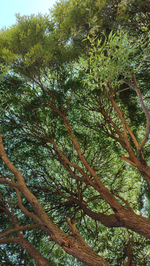 тестовый товар