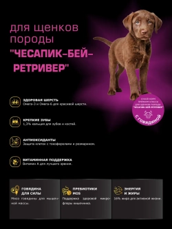Корм для щенков Чесапик-бей-ретривер, с говядиной, 3 кг
