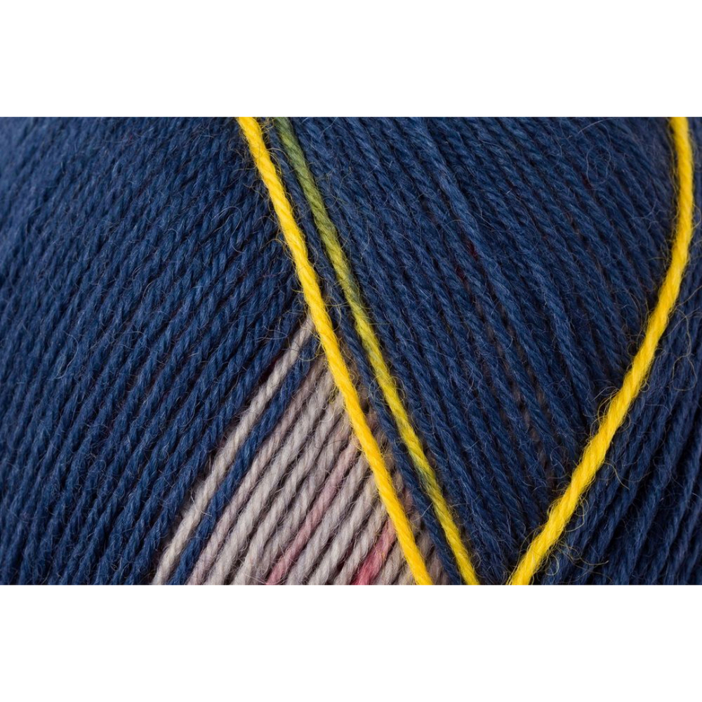 Regia Design Line PAIRFECT 4 ply - 09091 (jolster color)