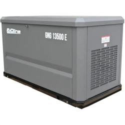 EVOline GNG 13500 E газовый генератор