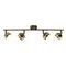 Светодиодный спот Arte Lamp Venerd A6009PL-4AB