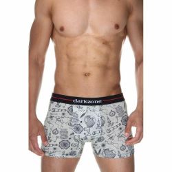 Трусы мужские боксеры фисташковые с принтом DARKZONE DZN2068