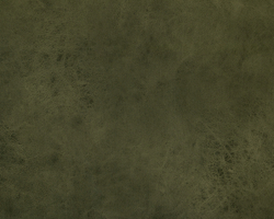 Велюр Kengoo olive (Кенгу олив)