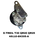Насос Гура X-TREIL T30 J31 QR20 QR25