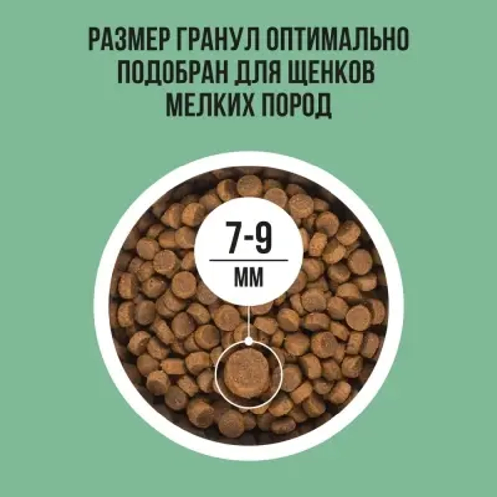 Сухой корм для щенков мелких пород BOWL WOW с индейкой, рисом и шпинатом, 2 кг