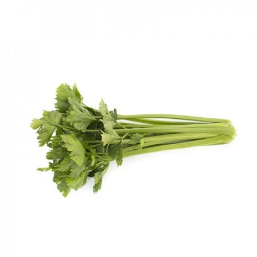 Келвин F1 семена сельдерея (Rijk Zwaan / Райк Цваан)