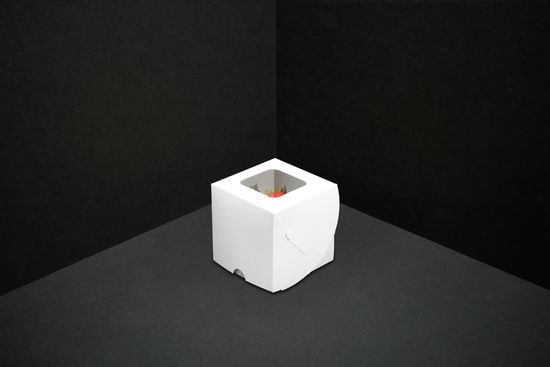 Короб с окном для 1 капкейка