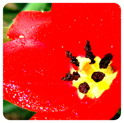 Практический Интенсив «Мастерство Регенерации и Изобилия». Часть 13