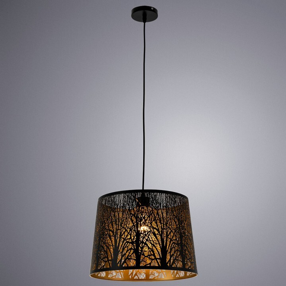Подвесной светильник Arte Lamp A2769SP-1BK