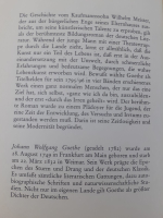 Wilhelm Meisters Lehrjahre. Иоганн Вольфганг Гете