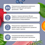 Bowl wow корм сухой для котят: индейка, курица, черника