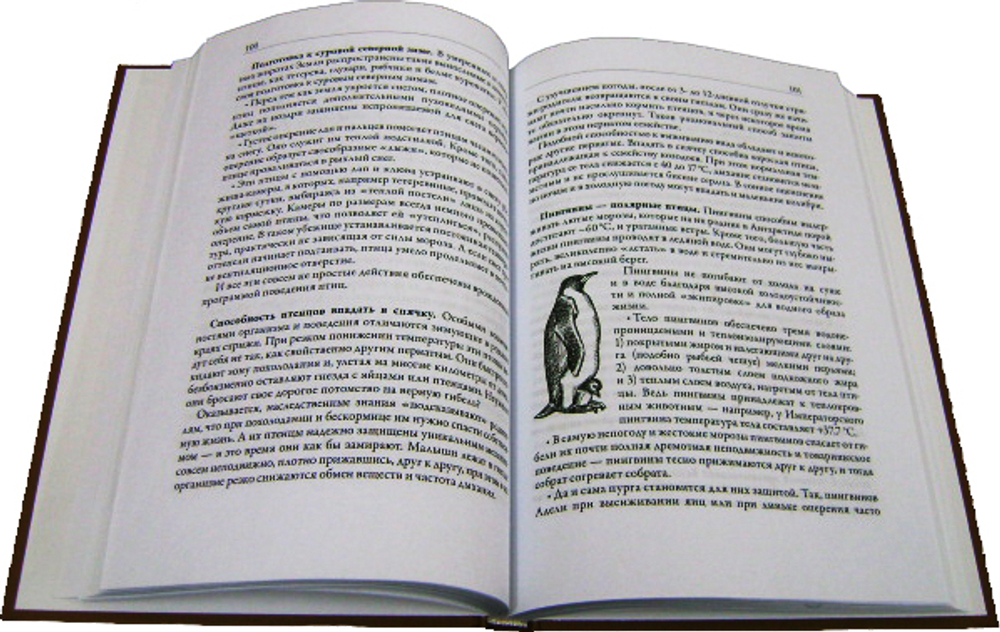 Сотворенная природа глазами биологов