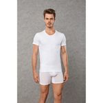 Мужская футболка белая комплект 2 шт. Doreanse 2800