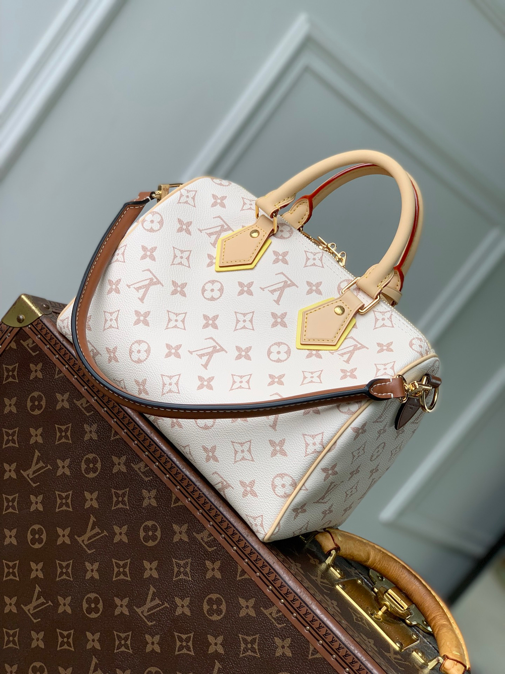 Louis Vuitton Speedy Bandouliere 25