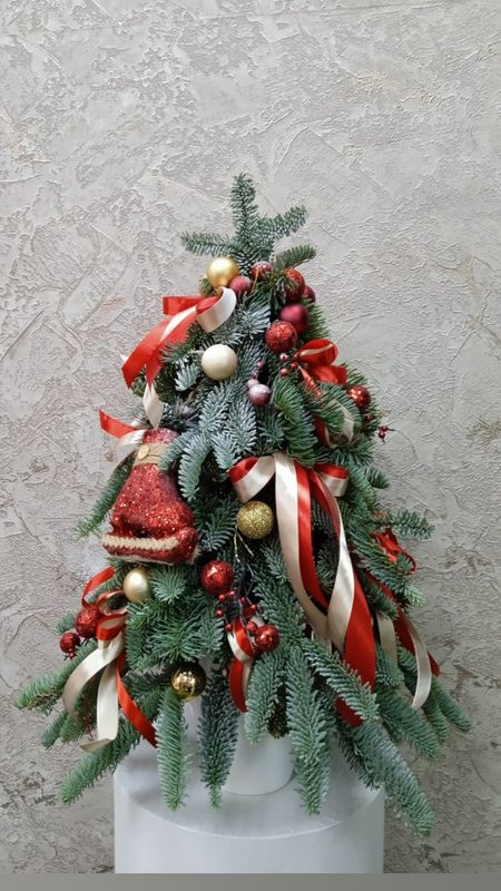 Ёлка с Нобилиса (НК-11)