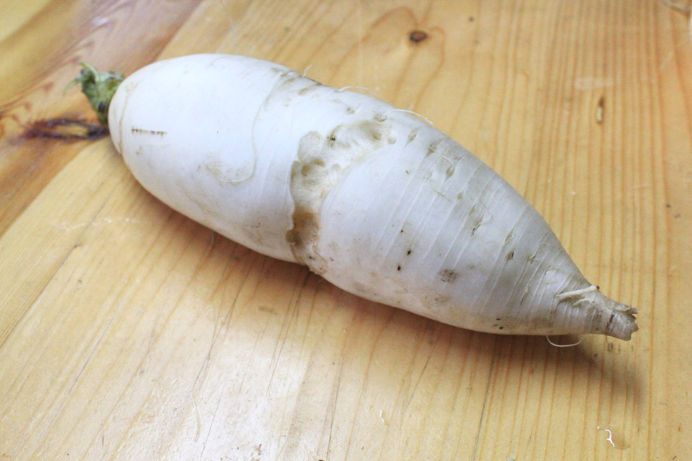 Дайкон