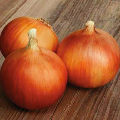 Аруба F1 семена лука репчатого (Sakata / Саката)