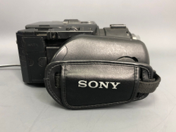 Sony NEX-FS100 (118x10)