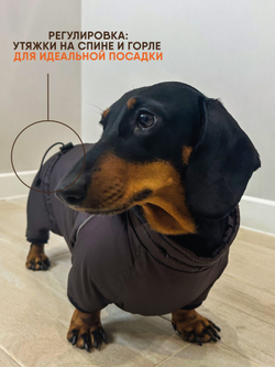 Утепленный комбинезон для Таксы карликовой Монморанси, коричневый, размер ТК1.