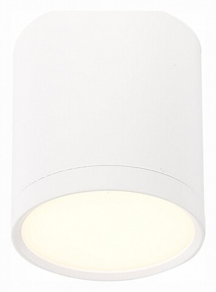 Накладной светильник ST-Luce Rene ST113.532.05