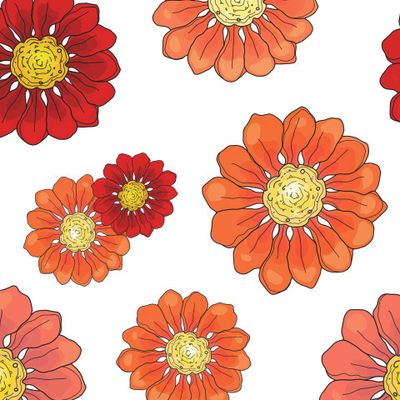 Маргаритка, петуния, пион. Розовые, терракотовые, красные цветы.