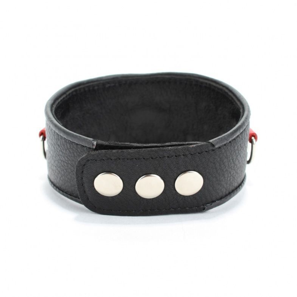 Кожаный ошейник с клепками и кольцами (Цвет: черный с красным)