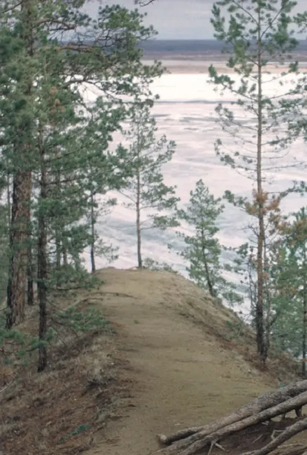 Белый пароход