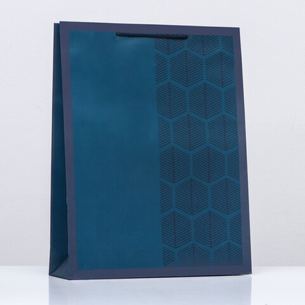 9592346 Пакет "Деловые линии"