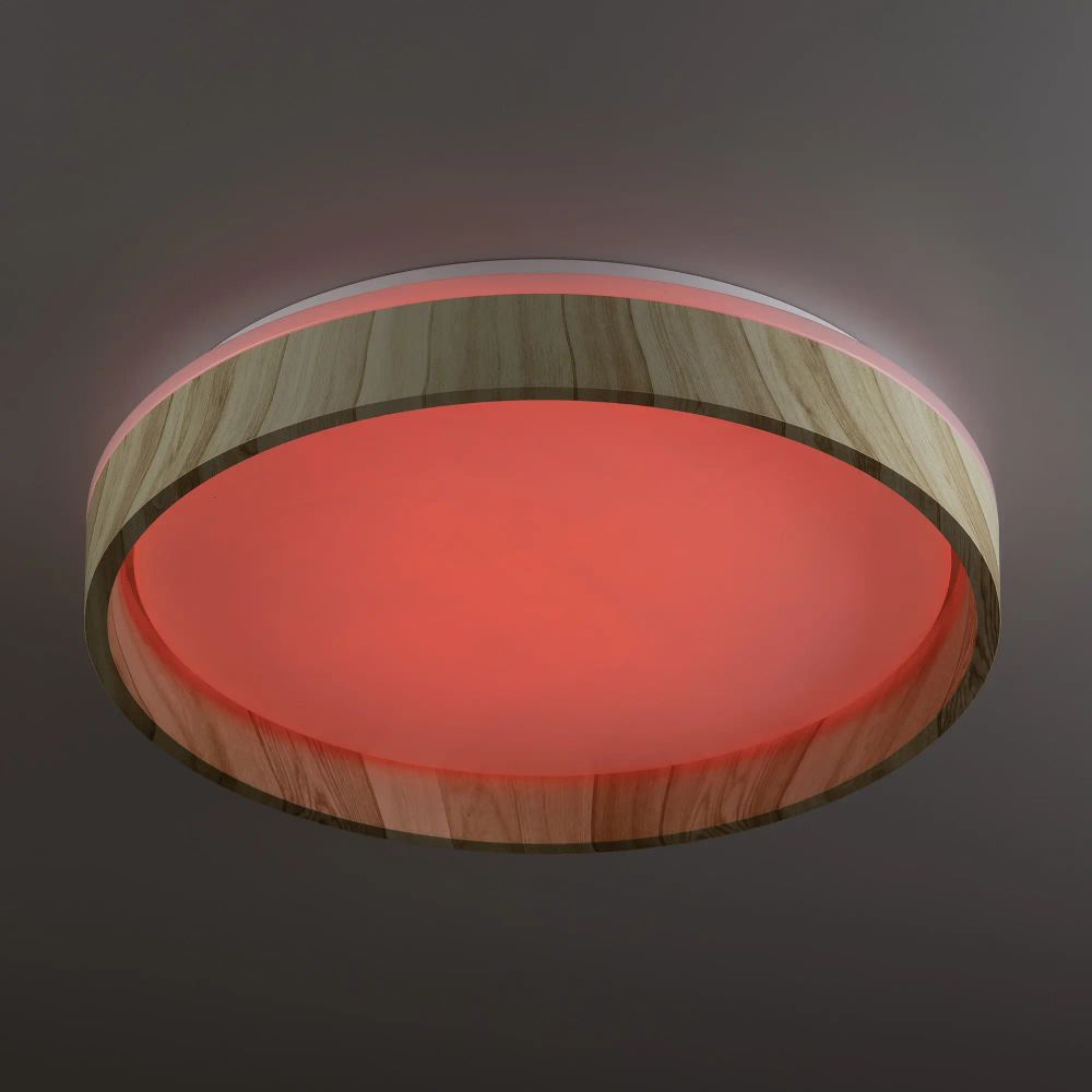 Citilux ENZO CL753352G LED RGB Светильник с пультом Клён