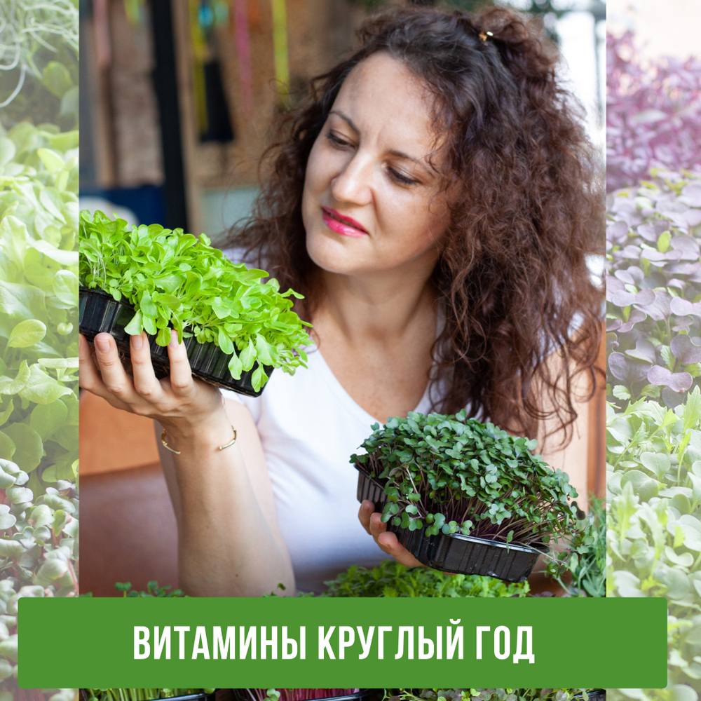 Агровата для выращивания микрозелени набор 10шт / 16,5*10*2 см /субстрат для выращивания микрозелени и растений