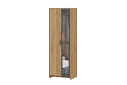Шкаф 2-х створчатый МСП-1 (Дуб Золотой/Камень темный)