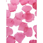 Набор секс-игрушек Sexy Weekend Box ( 13 предметов ) (Цвет: черный с фиолетовым)