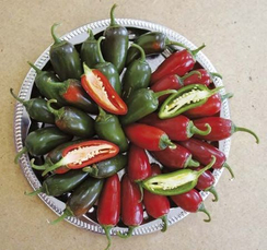 Сонора F1 семена перца острого (Sakata / Саката)