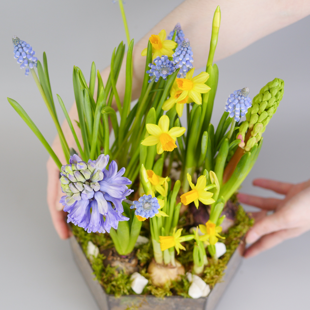 Композиция с первоцветами Весенний микс