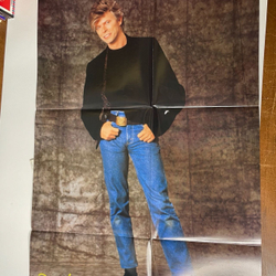 Винтажная виниловая пластинка LP David Bowie Never Let Me Down (Japan 1987) (Obi) (Poster)