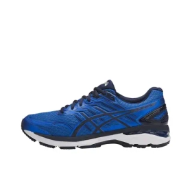 Мужские кроссовки ASICS GT-2000 5 'Directoire Blue' T707N-4358