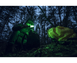 Фонарь Armytek Bear WRG (F09901C)