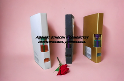 Парфюмерная вода мужская СвеТLана Mr. Newl C&M016-00 1 мл