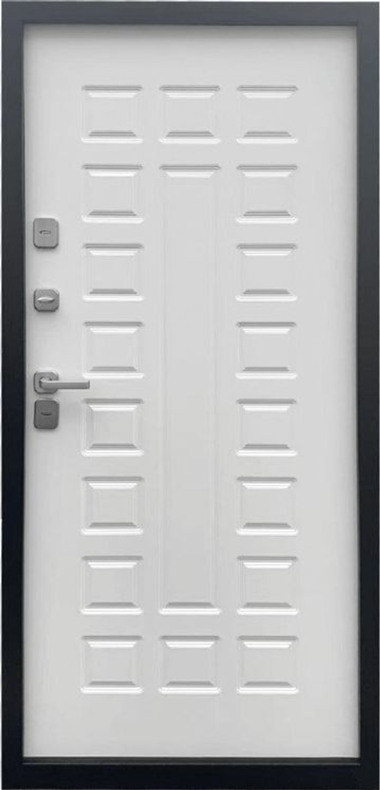 Дверь входная ДМ 11-1