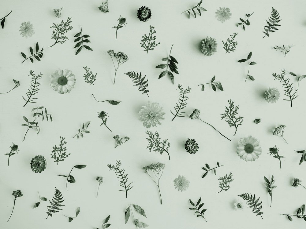 Дизайнерские обои Wall Street GreenDay-22