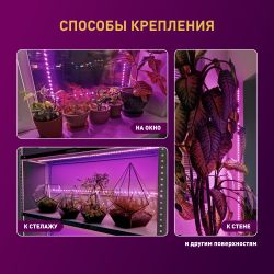 Светодиодная лента для растений ЭРА FITO-Strip Light-RB-2m красно-синего спектра, 2 м, IP65 с адаптером 12V в комплекте