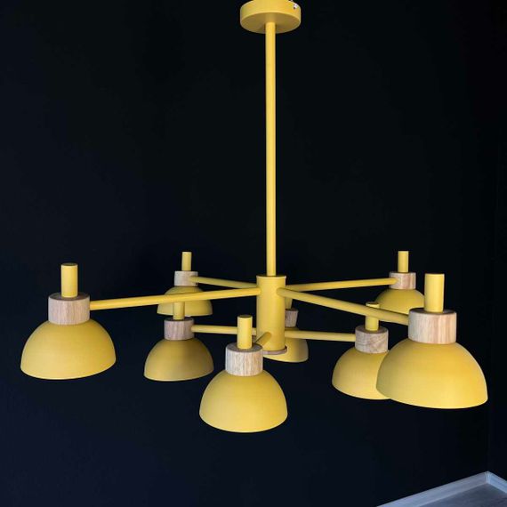 Подвесная люстра Imperium Loft Fanta 101568-26