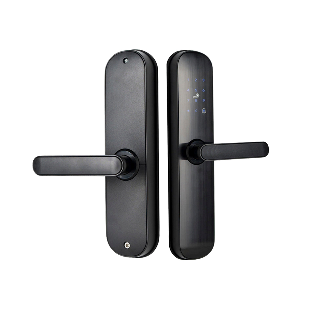 BASIC электронный замок TTLOCK